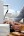 VBM_Shooting_Mar22_HighRes_30.jpg