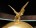 Belle-Epoque-Q1-Ekspres-do-kawy-3.jpg