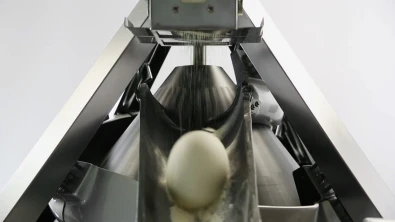 SMQ10_0001_Layer-4.jpg
