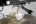 1200Wx1200H-CMYKRGB-null (2).jpg