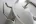 837108_zoom_2016.webp
