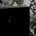 lodowka-sc12 (3).webp