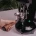 dosing-funel-df-01-coffee-format (2).webp