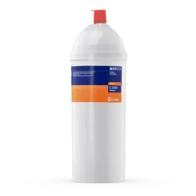 purity-c1100-steam.webp
