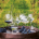 kieliszek-do-win-bialychrozowych-oraz-mlodych-czerwonych-linea-umana-690ml-przezroczysty-8.png