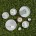 pieprzniczka-bianco-70-mm-kremowy-4.jpg