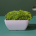 miska-kwadratowa-metro-z-melaminy-biala-250x250xh120mm-bialy-2.png
