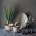 spodek-do-bulionowki-vanilla-170mm-kremowy-3.jpg