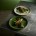 talerz-plytki-stonecast-sorrel-green-220mm-zielony-3.jpg