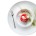 talerz-plytki-bianco-300-mm-bialy-9.jpg