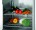 Profesjonalna Lodówko-Zamrażarka Gastronomiczna 484L Bartscher 700826
